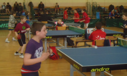 2mrsg201211_20120417_1833267334