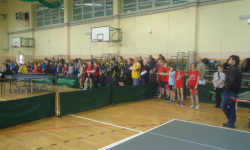 2mrsg201213_20120417_1595594193