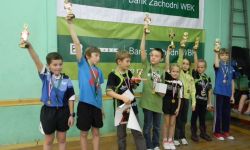 iiwtkskrzatow201310_20131226_2020139059